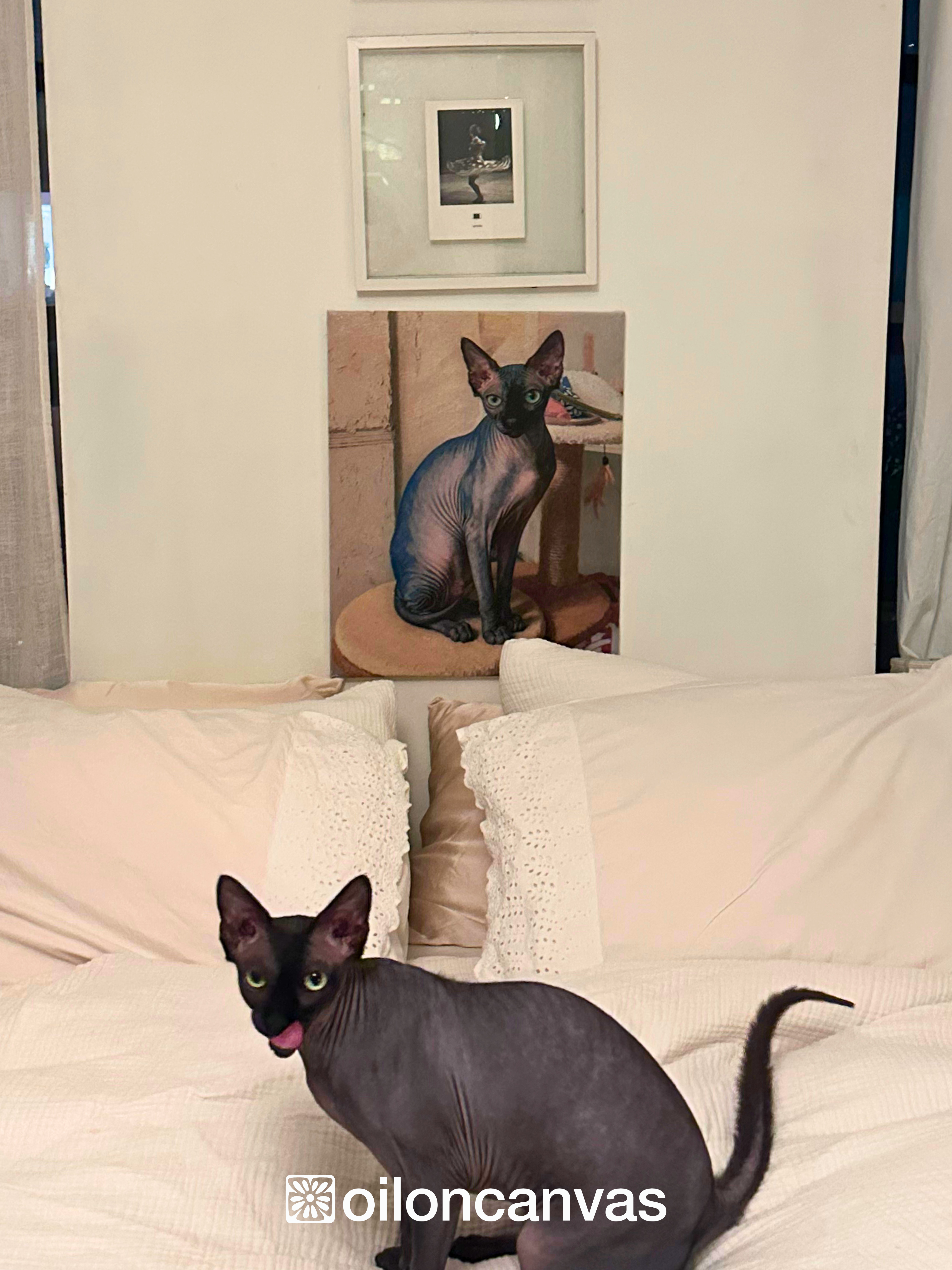 Emily's portrait of Norman